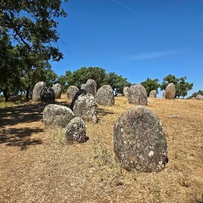 알멘드레스 크롬레크