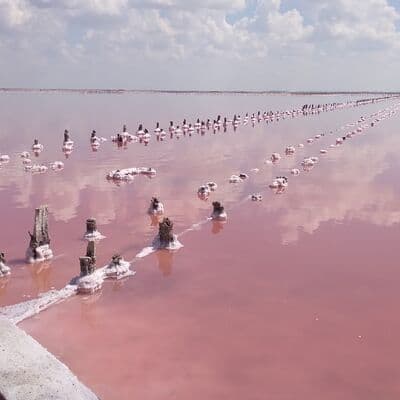 サシク・シワシュ ピンク湖