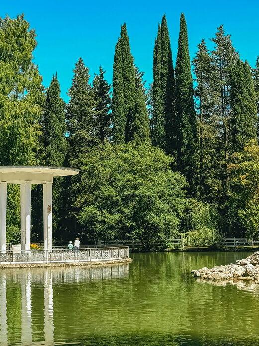 Arboreto de Sochi