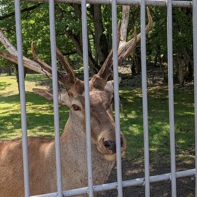 Reserva Natural Teberda
