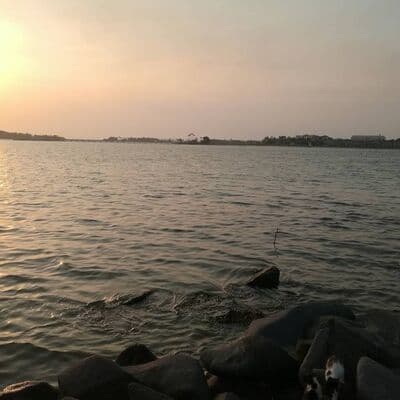 نافورة الملك فهد