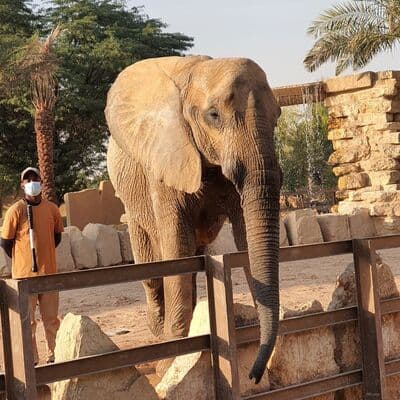 Riyadh Zoo