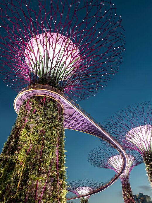 Gardens by the Bay