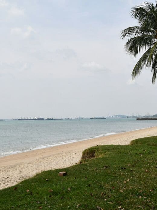 Parque de la Costa Este