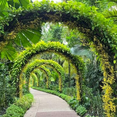 Jardín Nacional de Orquídeas