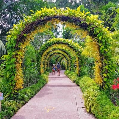 Jardines Botánicos de Singapur