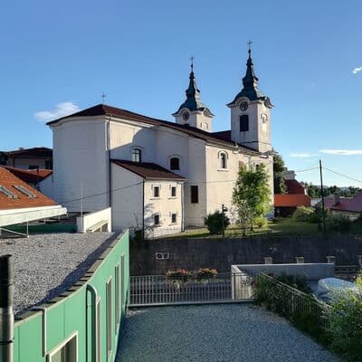 Протей (человеческая рыбка)