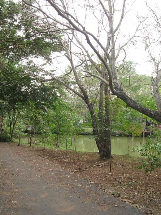 Parque Sri Nakhon Khuean Khan