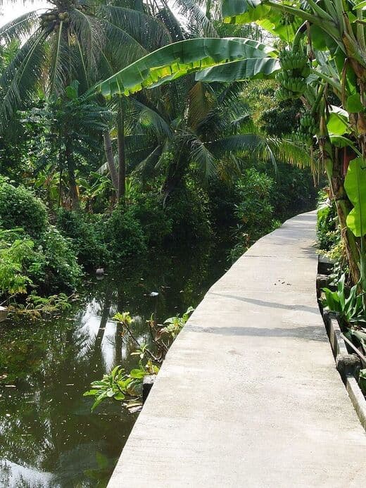 방 크라차오 (그린 렁)