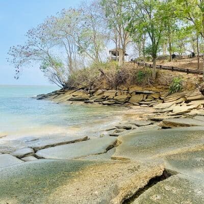 Cementerio de Conchas (Susan Hoi)