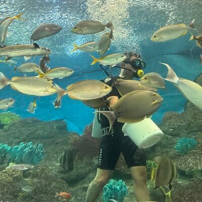 Mundo Submarino Pattaya