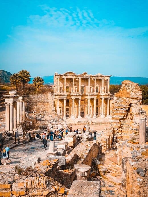 Библиотека Цельса