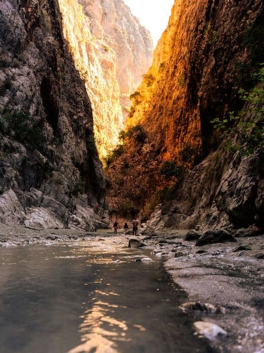 وادي ساكليكنت