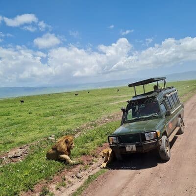 Cráter del Ngorongoro