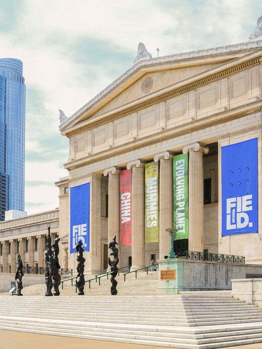 متحف فيلد للتاريخ الطبيعي