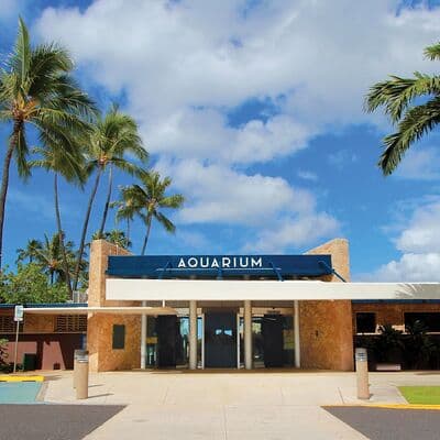 Acuario de Waikiki