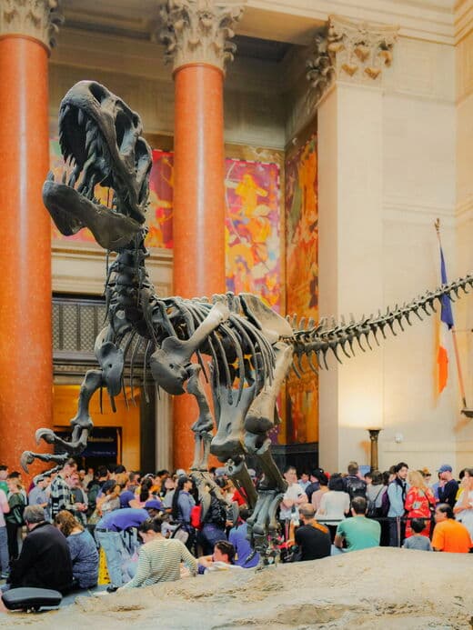 Musée américain d'histoire naturelle