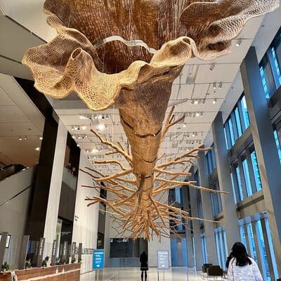 متحف سياتل للفنون