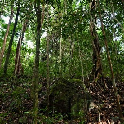 Parque Nacional de Phu Quoc