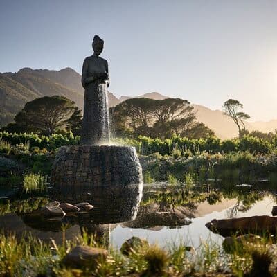 Finca Vinícola La Motte