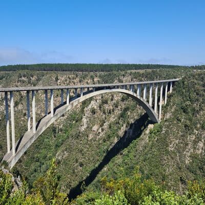Puenting en Puente Bloukrans